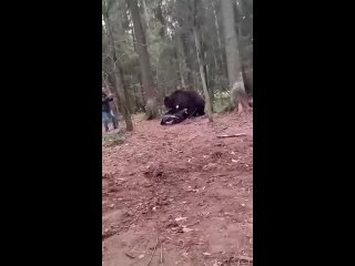 typical everyday life of a russian person, but how did you think | @videfunny