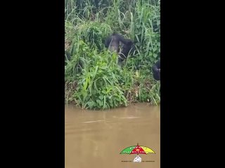 video from pro humor / bayan | @videfunny
