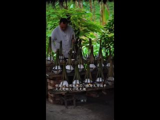 video from pro humor / bayan | @videfunny