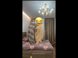 video from pro humor / bayan | @videfunny