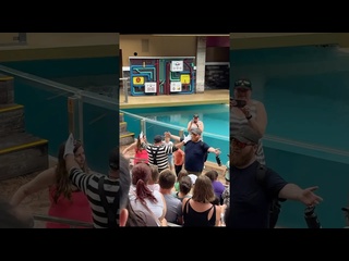 wait until you see his reaction tom mime seaworld seaworldmime tomthemime funny shorts - [elyka travel]