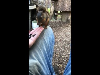 video from pro humor / bayan | @videfunny