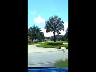 video from pro humor / bayan | @videfunny