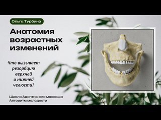 anatomy of age -related changes. what causes resorption of the upper and lower jaw? olga turbin