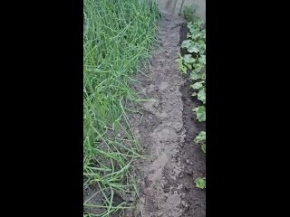 clip @videfunny | @videfunny