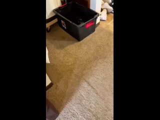 video from @videfunny | @videfunny