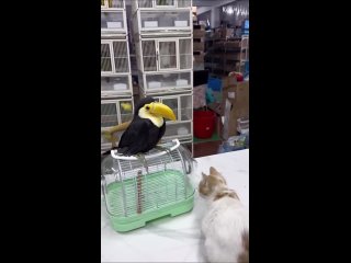 video from @videfunny | @videfunny