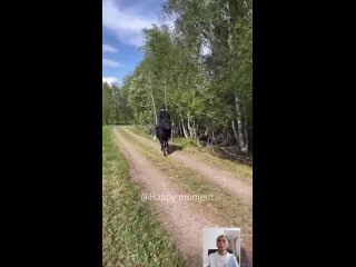 wife tiktoker | @videfunny