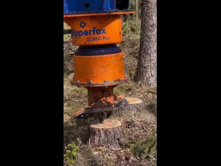 removal of stumps | @videfunny